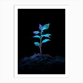 Neon Plant In The Dark 1 Art Print