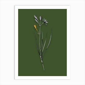 Vintage Amaryllis Montana Black and White Gold Leaf Floral Art on Olive Green n.0435 Art Print
