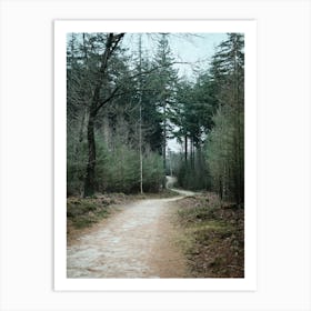 Winter Forest // The Netherlands // Nature Photography  Art Print