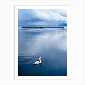 Swan In The Fjord Art Print