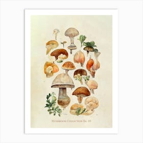 Mushroom Collection 03 Art Print
