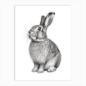 American Fuzzy Lop Black Blockprint Rabbit Illustration 3 Art Print