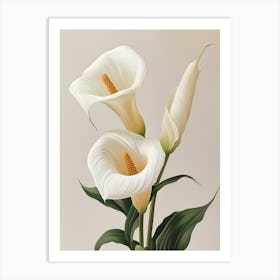 Calla Lily Art Print