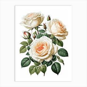 Vintage Galleria Style Rose Art Painting 14 Art Print