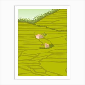 Rice Fields, Chiang Mai, Thailand Art Print