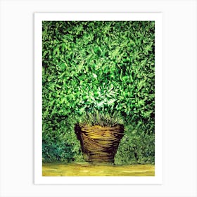 Green Plant In A Pot Art Print