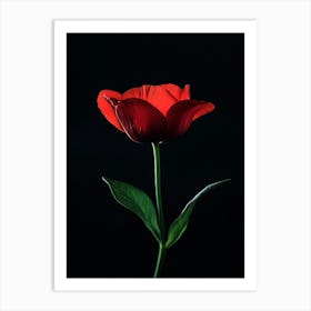 Single Red Flower 2 Art Print