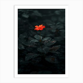 Dark Flower 25 Art Print