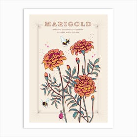 October Birth Flower Marigold On Cream Art Print