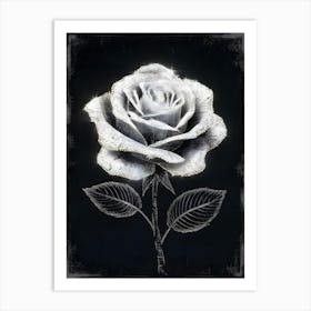 White Rose 2 Art Print