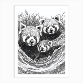 Red Panda Family Swimming Ink Illustration A River Ink Illustration 3 Art Print