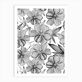 Black White Anemone Art Print
