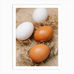 Eggs In A Nest Art Print