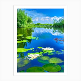 Pond With Lily Pads Water Waterscape Photography 2 Art Print