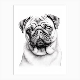 Pug Dog, Line Drawing 4 Art Print