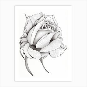 Rose Line Drawing 3 Art Print