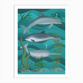 Dolphin, Narwhal And Porpoise Underwater Art Print