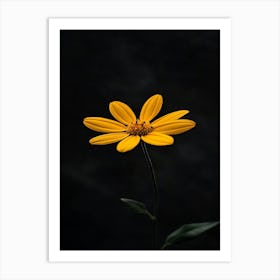 Single Yellow Flower 12 Art Print