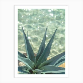 Refreshing Agave 1 Art Print