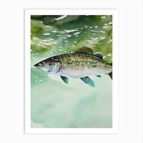 Mulloway Storybook Watercolour Art Print