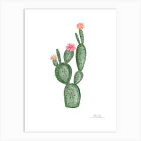 Aloe vera plant. Green plant. Beautiful plant. Thorns plant. Aloe vera flowers.3 Art Print