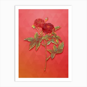 Vintage Van Eeden Rose Botanical Art on Fiery Red n.0735 Art Print