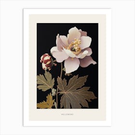 Flower Illustration Hellebore Poster Art Print