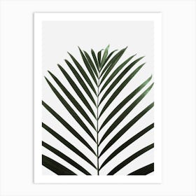 Lush Tropical Palms Art Print