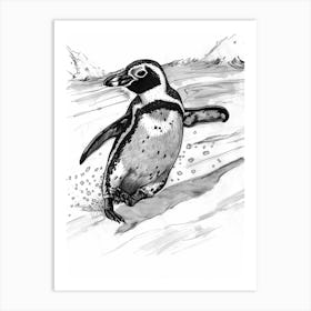 African Penguin Sliding On Ice 2 Art Print