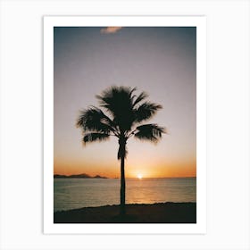 Sunset Palm Tree Art Print