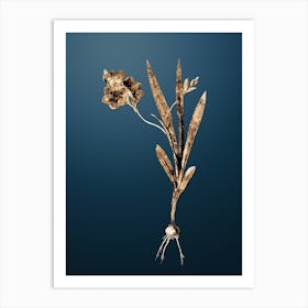 Gold Botanical Ixia Miniata on Dusk Blue n.2736 Art Print