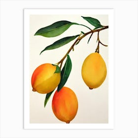 Lemon Watercolour Fruit Painting Fruit Art Print