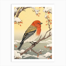 Bird Illustration Finch 1 Art Print