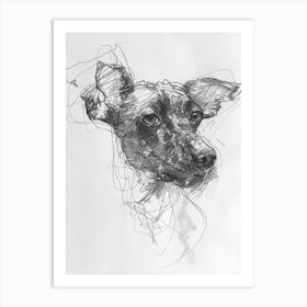 American Hairless Terrier Charcoal Line Art Print