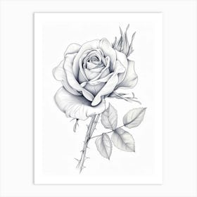 Roses Sketch 29 Art Print