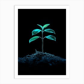 Small Plant Growing On The Ground Art Print