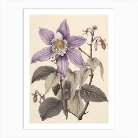 Katakuri Dogtooth Violet 2 Vintage Japanese Botanical Art Print