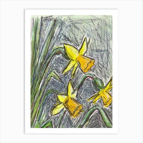 Daffodils 9th March 2024 Art Print