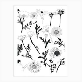 Daisies in Black And White Art Print