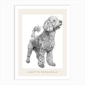 Lagotto Romagnolo Dog Line Sketch 2 Poster Art Print