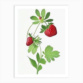 Wild Strawberries, Plant, Marker Art Illustration Art Print