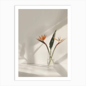 Bird Of Paradise 33 Art Print