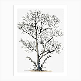 Bare Tree 4 Art Print