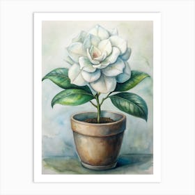 Magnolia 1 Art Print