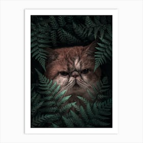 Peaknose Cat In Ferns Art Print