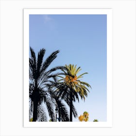 Palm On Blue Sky Art Print