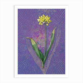 Vintage Golden Garlic Botanical Illustration on Veri Peri n.0971 Art Print