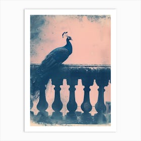 Cyanotype Inspired Peacock Resting On A Handrail 3 Art Print