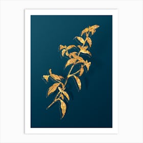 Vintage Birdbill Dayflower Botanical in Gold on Teal Blue n.0010 Art Print