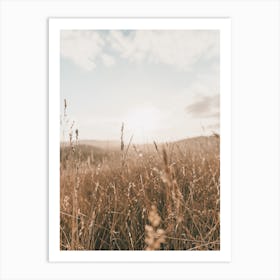 Dried Dune Grass Art Print